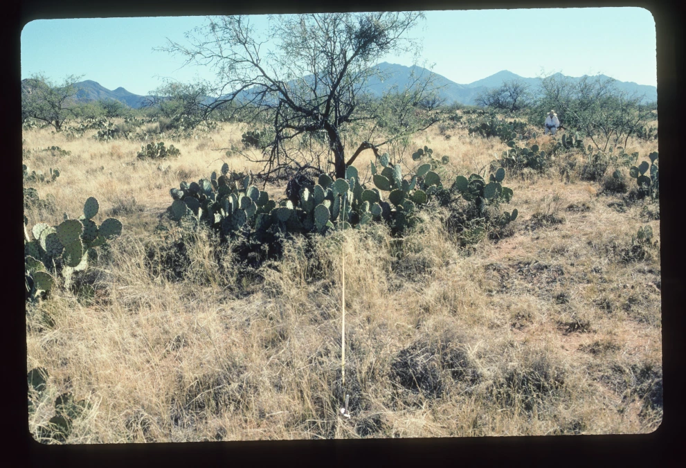 6B_5E_from_0_2003_Jan_27.jpg