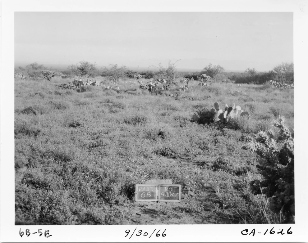 6B_5E_from_100_1966_Sep_30.jpg