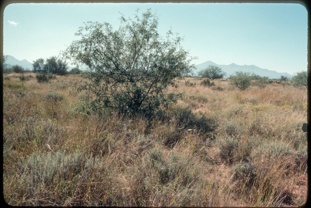 6B_5E_from_10_1984_Sep_28.jpg