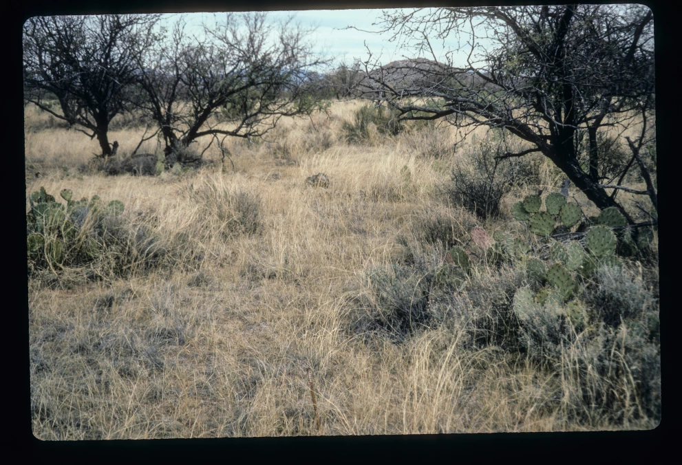 6B_60_from_0_1997_Jan_25.jpg