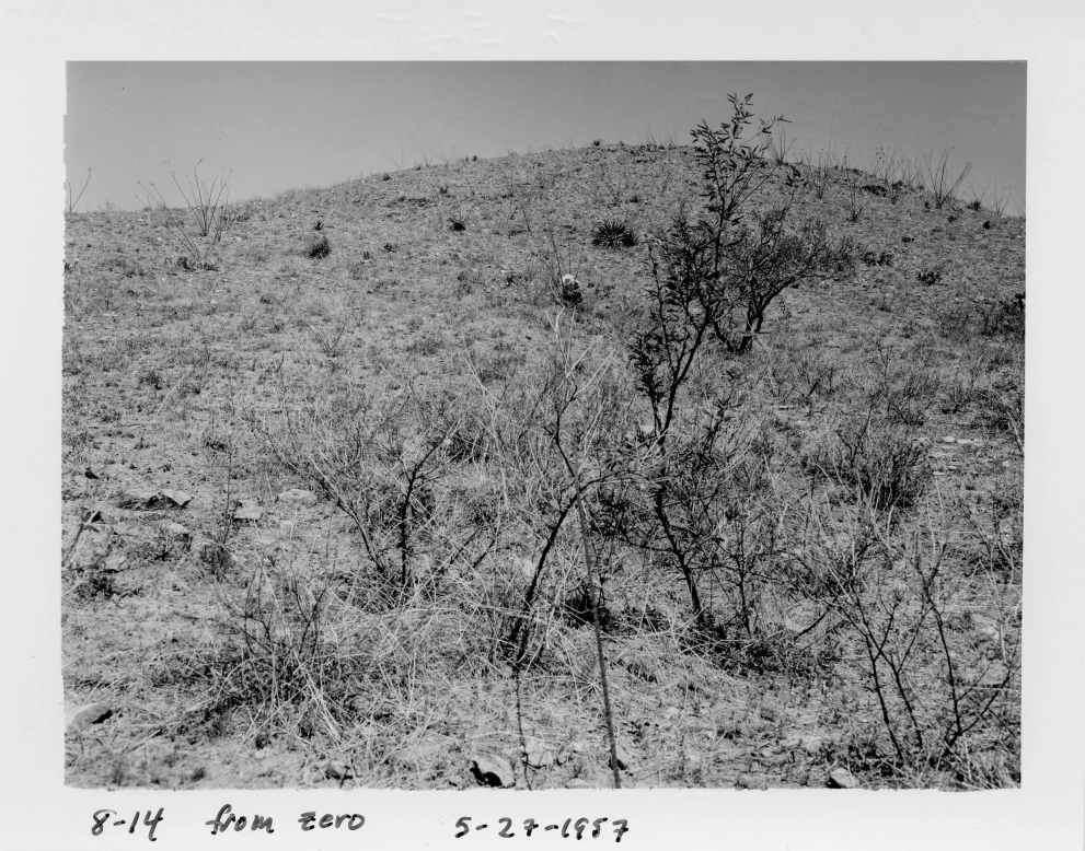 8_14_from_0_1957_May_27.jpg