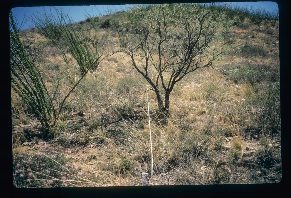 8_14_from_0_1997_Mar_24.jpg