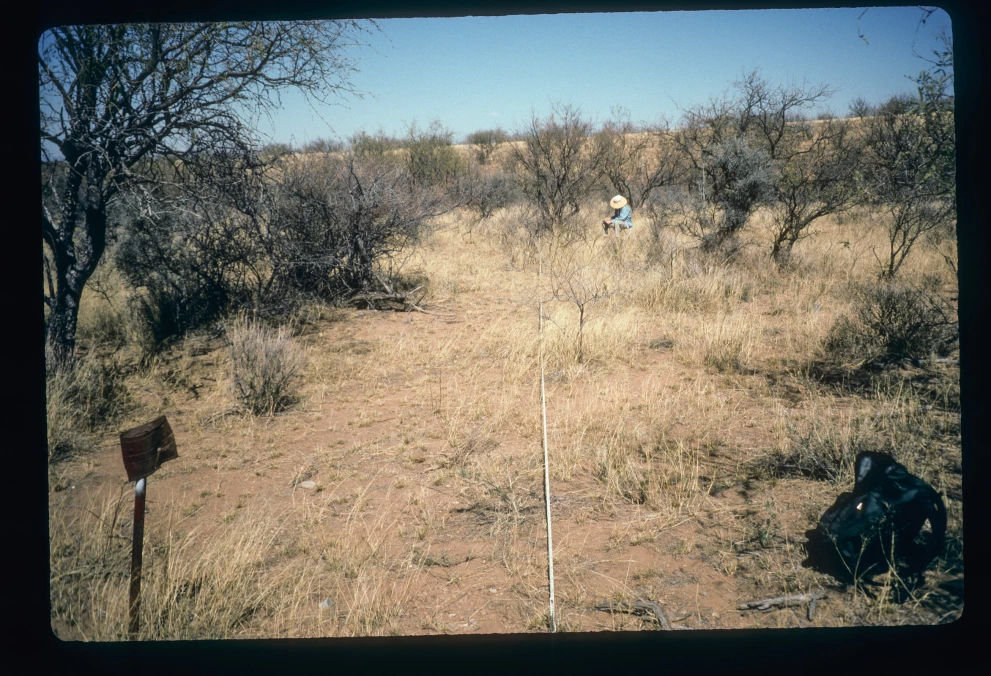 8_7_from_0_1997_Feb_24.jpg