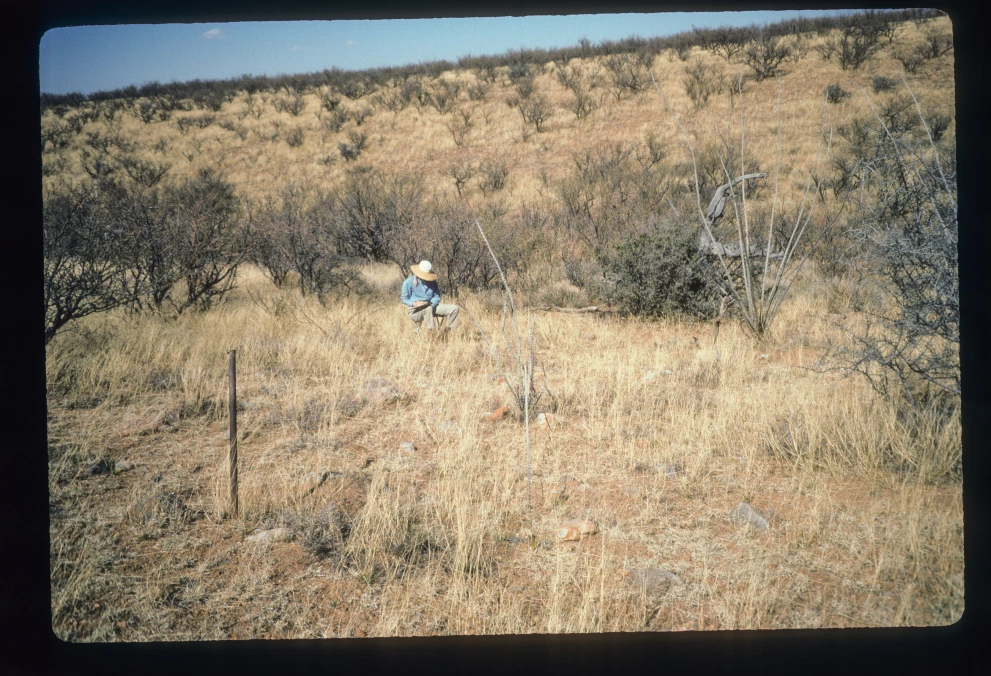 8_8_from_0_1997_Feb_24.jpg