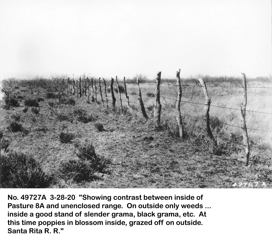 1920_03_28_49727A__Pasture_8A_fenceline_contrast