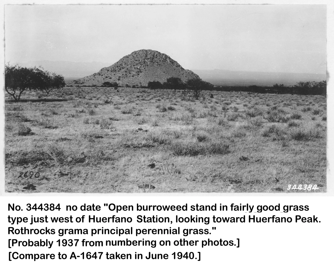 1937_probably_344384_Huerfano_Peak_from_Huerfano_station