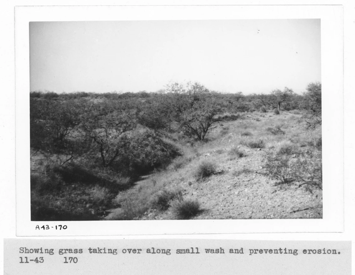 1943_11_xx_A43_170