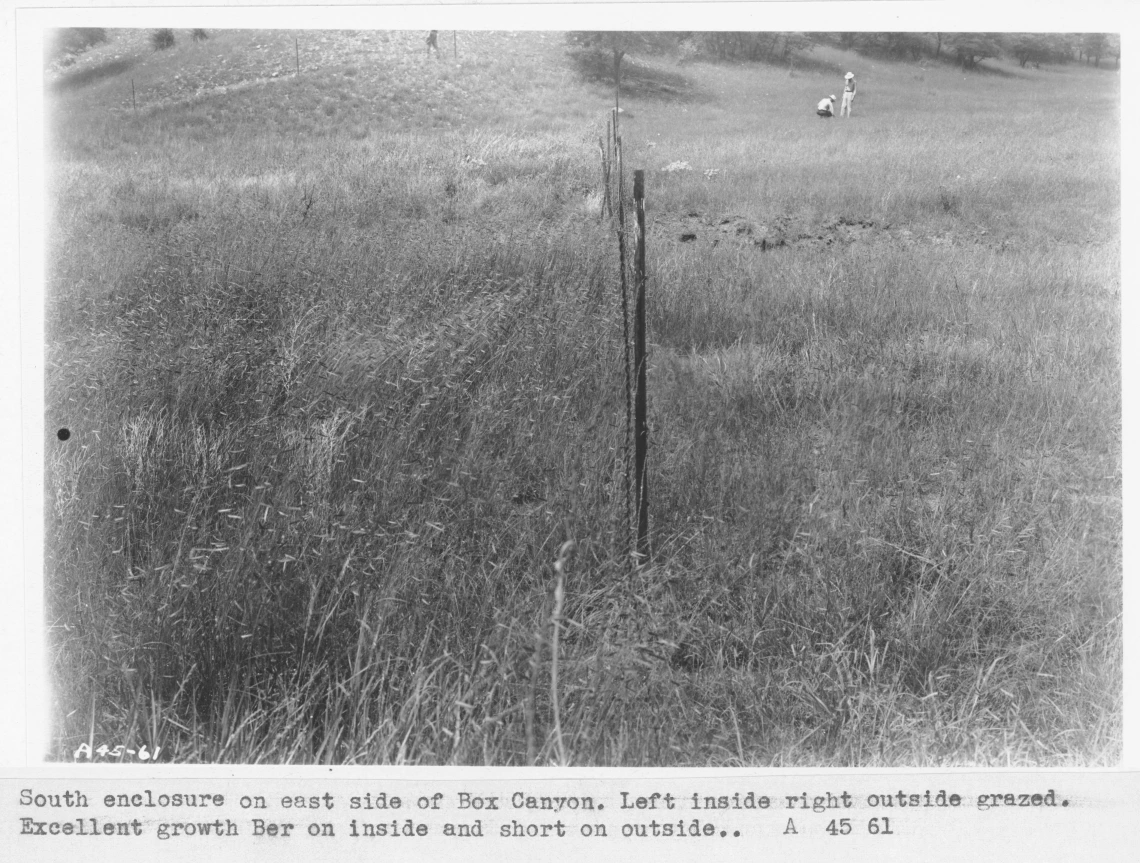 1945_xx_xx_A45_61_Box_Canyon_enclosure