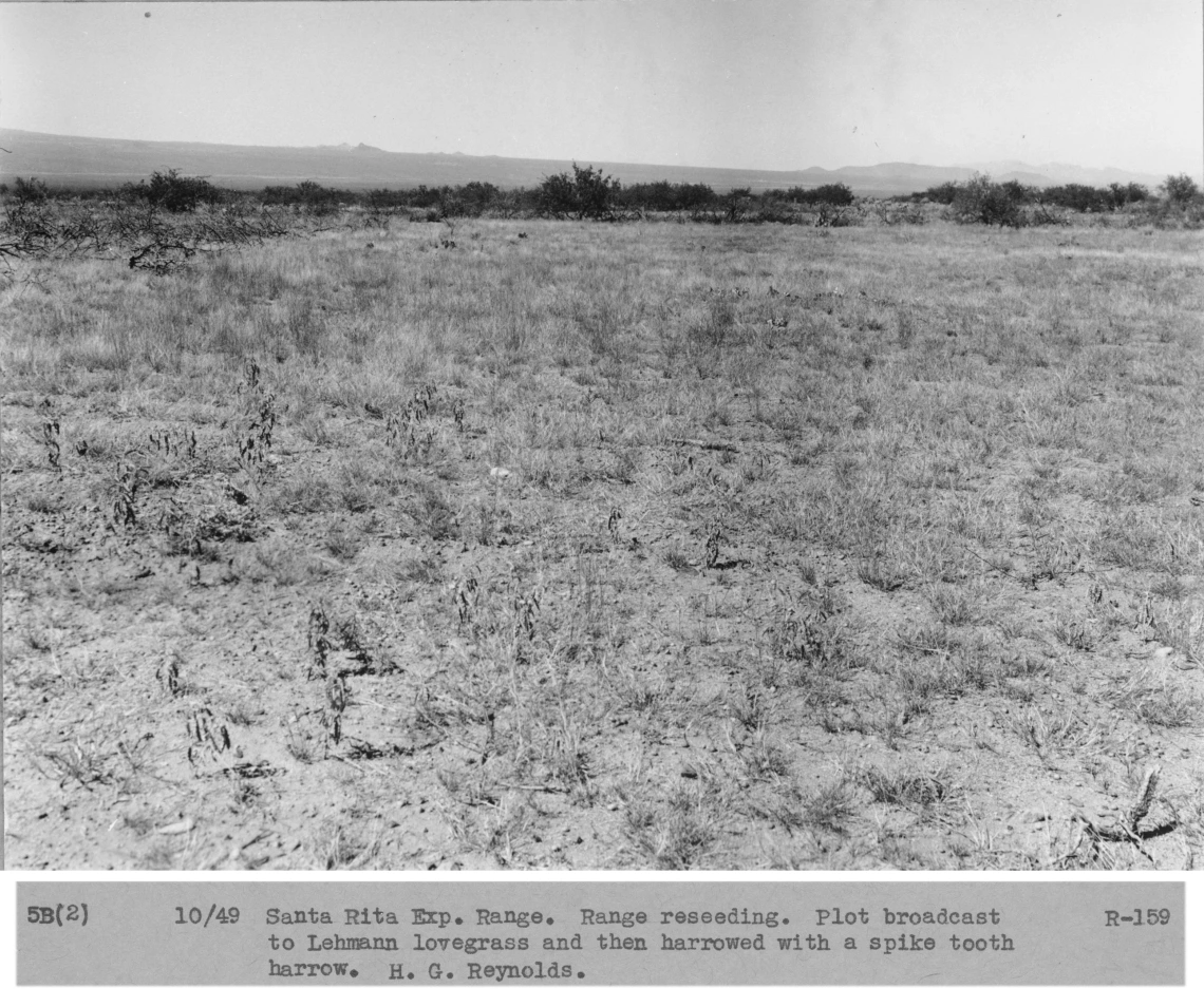 1949_10_xx_R-159_5B-2-_Lehmann_lovegrass_seeding