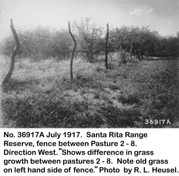 1917_07_xx_36917A_Fence_contrast_pastures_2_-_8