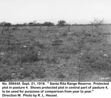 1918_09_21_39844A_Pasture_4_exclosure
