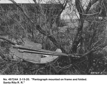 1920_02_13_49724A_Pantograph_contemplates_shrub
