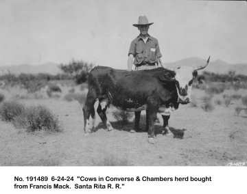 1924_06_24_191489_Cow