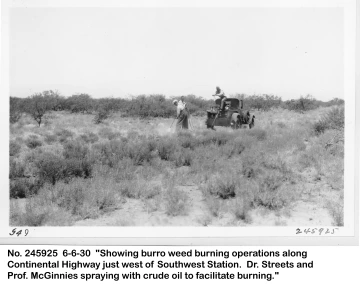 1930_06_06_245925__Burroweed_burning_prep_with_oil