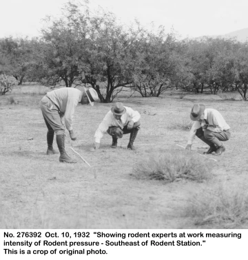 1932_10_10_276392_-crop-_Rodent_experts_near_Rodent_Station