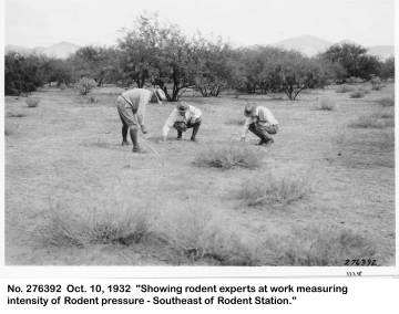 1932_10_10_276392_Rodent_experts_near_Rodent_Station