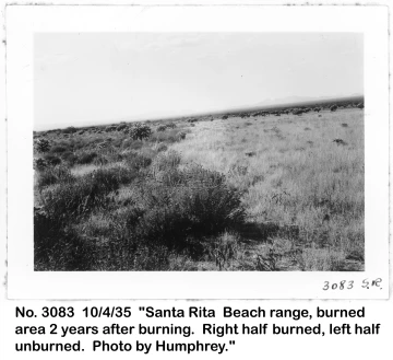 1936_10_04_3083_Burn-unburn_comparison_Beach_range