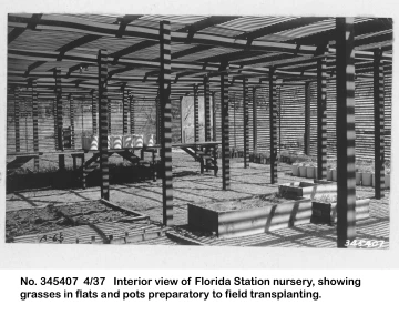 1937_04_xx_345407__Florida_nursery