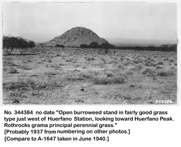 1937_probably_344384_Huerfano_Peak_from_Huerfano_station