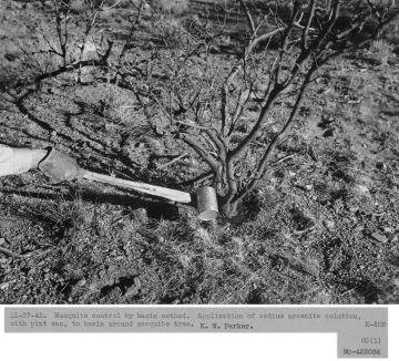 1942_11_27_K-608_8C-1-_Mesquite_poisoning_with_arsenite