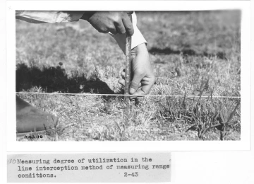 1943_02_xx_line_intercpt_deg_of_util