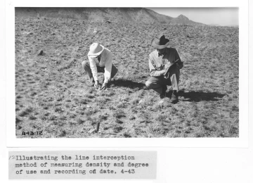 1943_04_xx_line_intercept_density