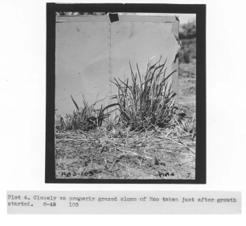 1943_08_xx_A43-103_utiliz