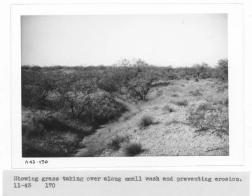 1943_11_xx_A43_170
