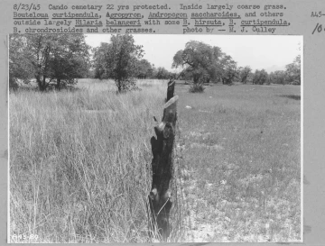 1945_08_23_A45-80_Cando_cem