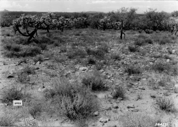 Photo Archive No. 001.1.1936.08