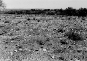 Photo Archive No. 001.1.1985.07