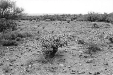Photo Archive No. 001.1.2000.07