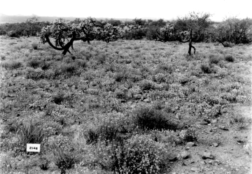 Photo Archive No. 001.1.1935.10