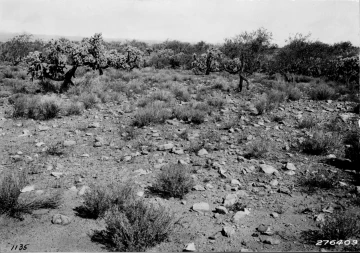 Photo Archive No. 001.1.1932.09