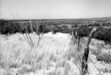 Photo Archive No. 061.1.1984.04