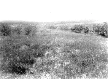 Photo Archive No. 061.1.1914.08