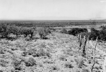 Photo Archive No. 061.1.1935.07