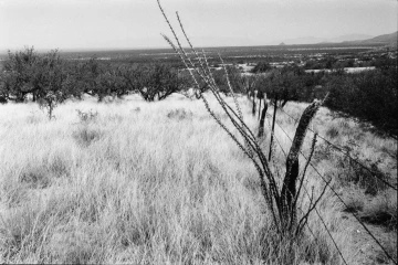 Photo Archive No. 061.1.2000.05