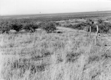 Photo Archive No. 061.1.1950.11