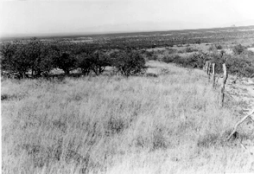 Photo Archive No. 061.1.1951.10