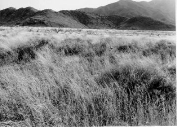 Photo Archive No. 089.1.1988.02