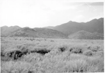 Photo Archive No. 089.1.1984.07