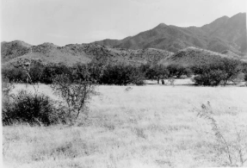 Photo Archive No. 089.1.1951.09