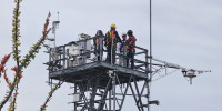 NEON tower at the SRER
